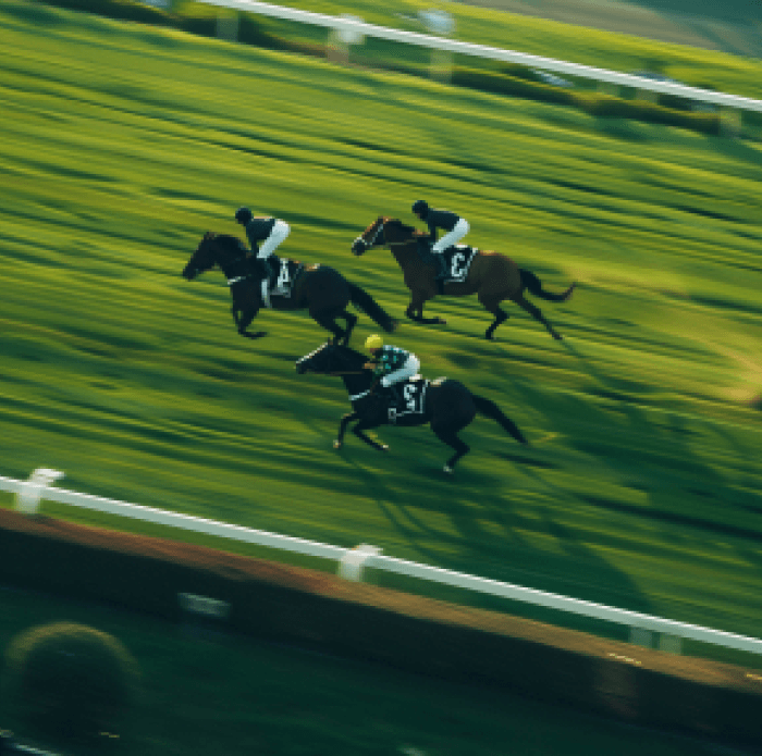 Image principale : courses hippiques, analyse et conseils